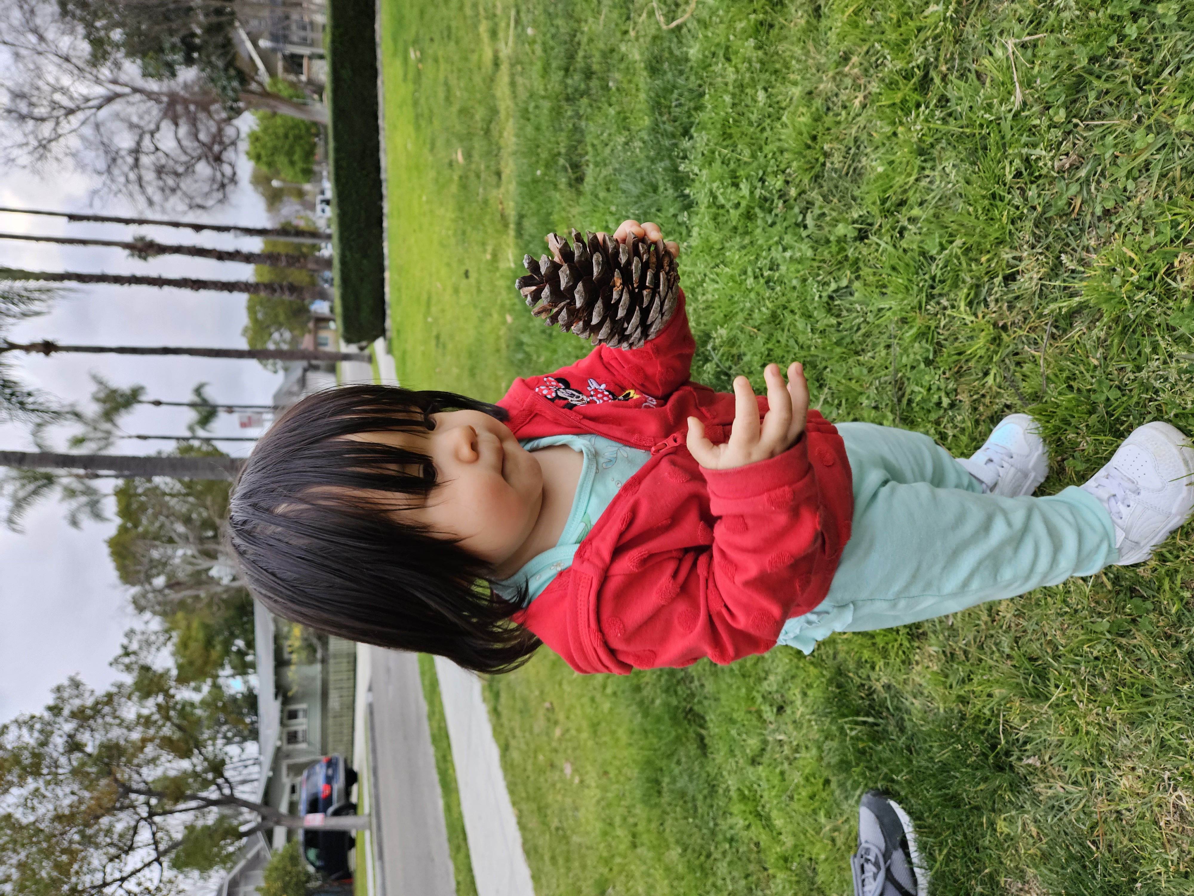Toddler holding a pinecone in a red hoodie with light blue pants and white shoes taken with Samsung Galaxy S23